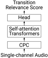 Model structure