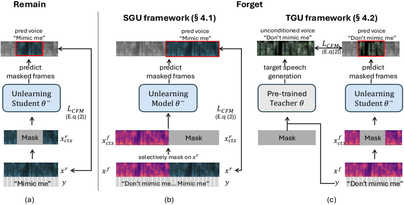 The training procedure for the forget set in (b) the SGU framework and (c) the proposed TGU framework, along with (a) the training procedure for the remain set in both SGU and TGU.