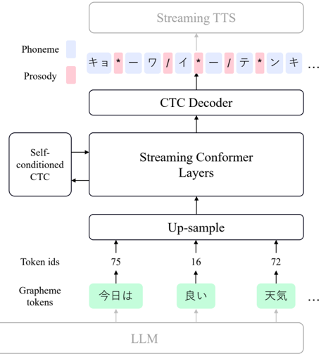 Proposed model architecture. The model takes grapheme tokens as input and predicts a mixed sequence of phoneme and prosodic symbols.