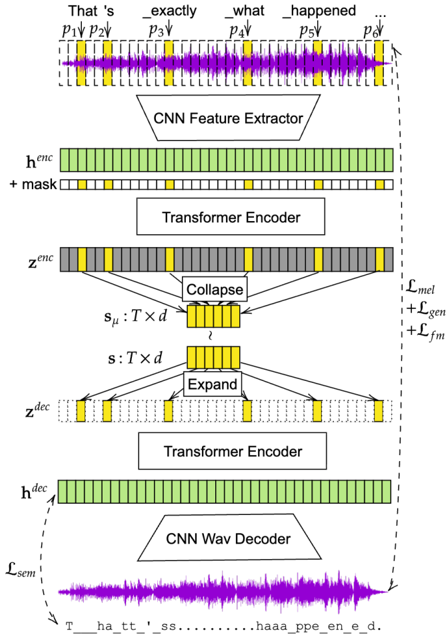 Operating under a Variational Autoencoder (VAE) framework, our model utilizes a symmetric encoder-decoder architecture. Each module integrates a CNN-based component for local acoustic feature extraction and reconstruction, complemented by a transformer-based backbone designed to capture the dynamic temporal range of synchronized speech-text sequences.
