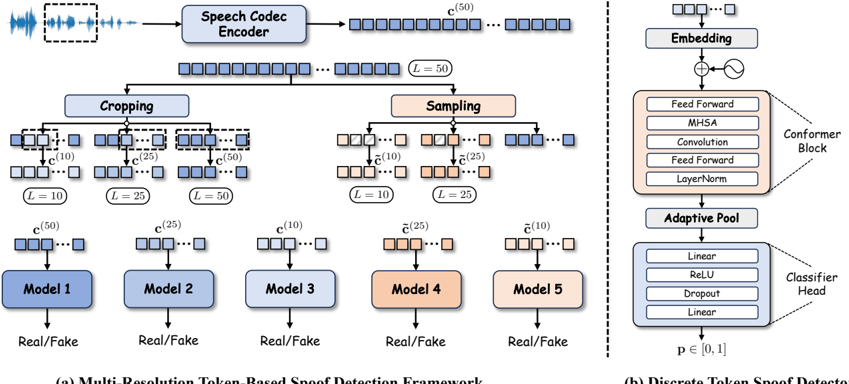 Overview of multi-resolution token-based spoof detection framework. (a) Construction of token sequences at multiple temporal resolutions for training separate real/fake detectors. (b) Conformer-based discrete token spoof detector architecture.
