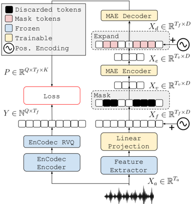 Illustration of the EnCodecMAE architecture, consisting of a masked autoencoder trained to predict the discrete representation Y of the unmasked audio X given by EnCodec.